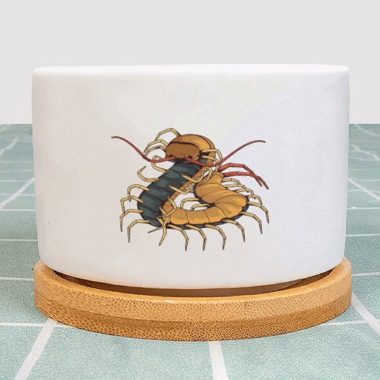 Illustration Insect Plant Pots