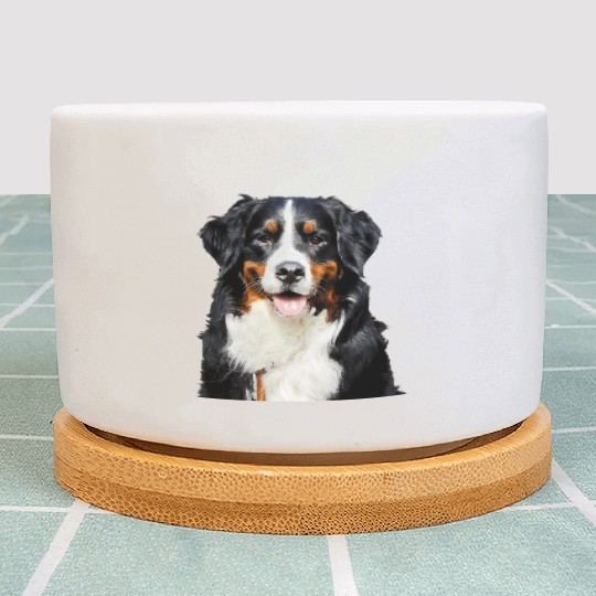 Portrait Of Bernese Mountain Dog Plant Pots