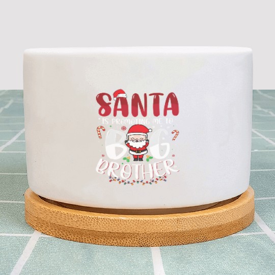 Santa Is Promoting Me To Big Brother Plant Pots