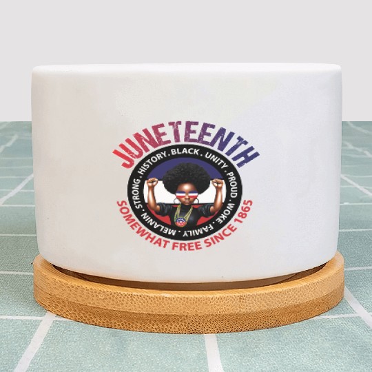 Juneteenth Red White and Blue Power Plant Pots