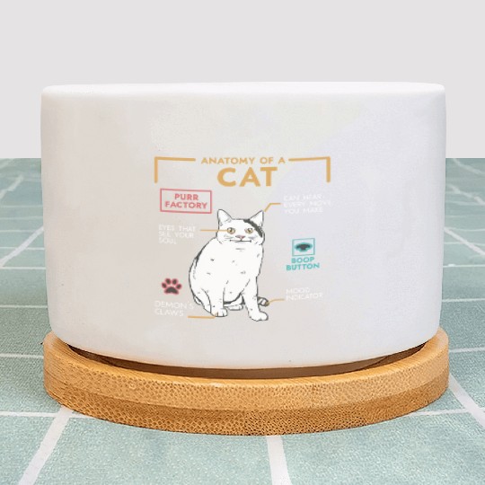 Funny Weird Cat Meme Smiling Anatomy of A Cat Plant Pots