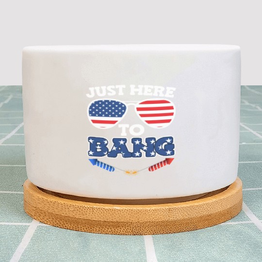 Just here to Bang Independence Day America Party Plant Pots