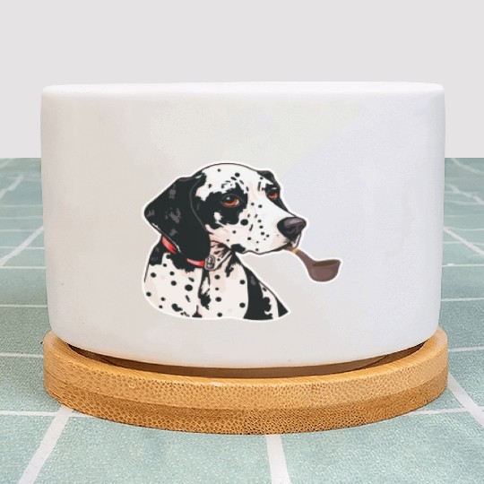 Dalmatian Tabacco Plant Pots