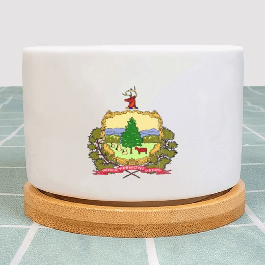 Vermont Flag State Vintage Plant Pots