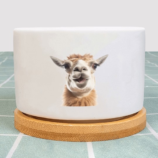 Sweet Lama Leo Plant Pots