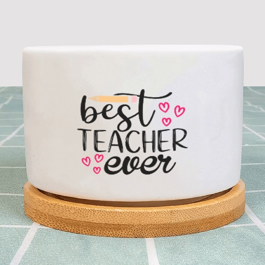 Best teacher ever Plant Pots