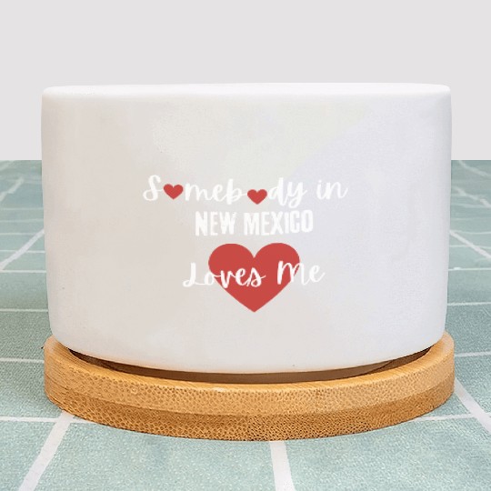 Somebody in New Mexico Loves Me Plant Pots