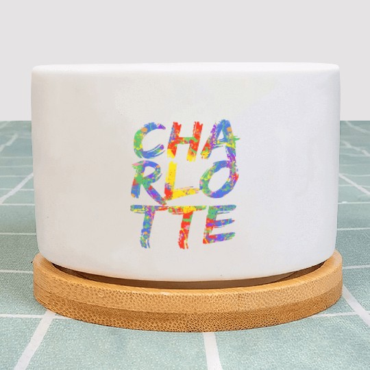 Charlotte Artwork Colorful Rainbow Carolina Plant Pots