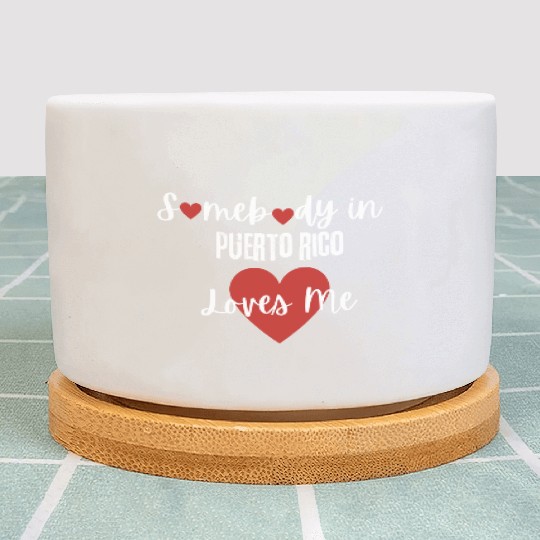 Somebody in Puerto Rico Loves Me Plant Pots