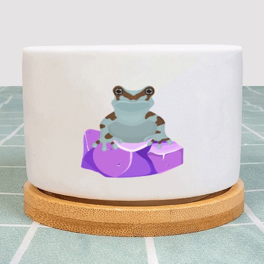 Frog Crystal Amethyst Gemstone For Toad Owners Plant Pots