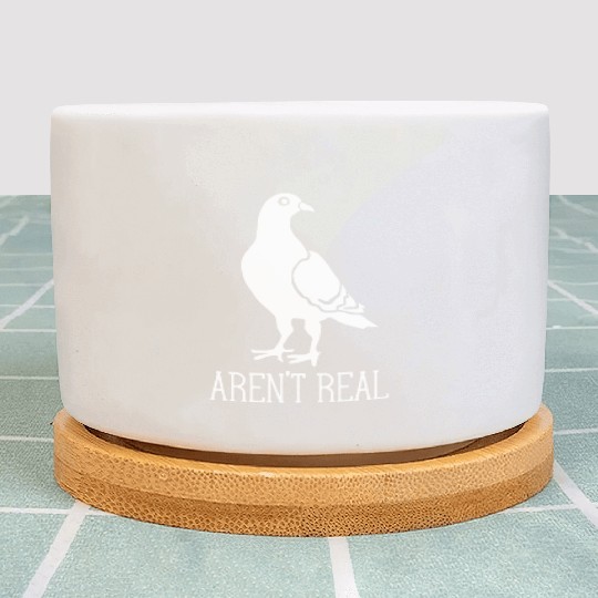 Birds Aren t Real Conspiracy Pigeon Retro Plant Pots