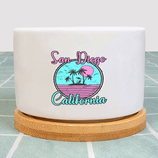 San Diego California Ca Beach Travel Plant Pots