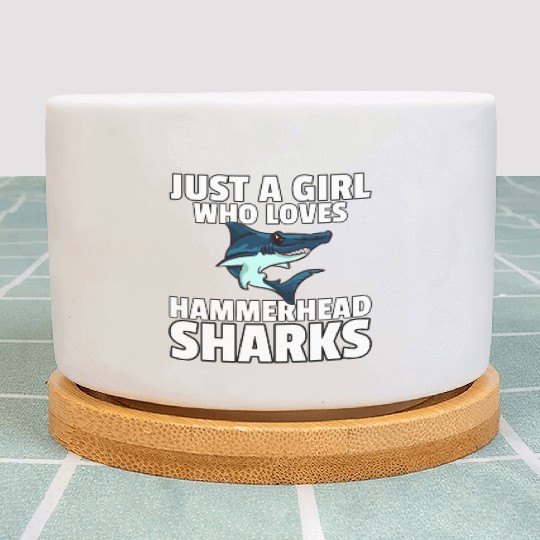 Hammerhead Shark Plant Pots