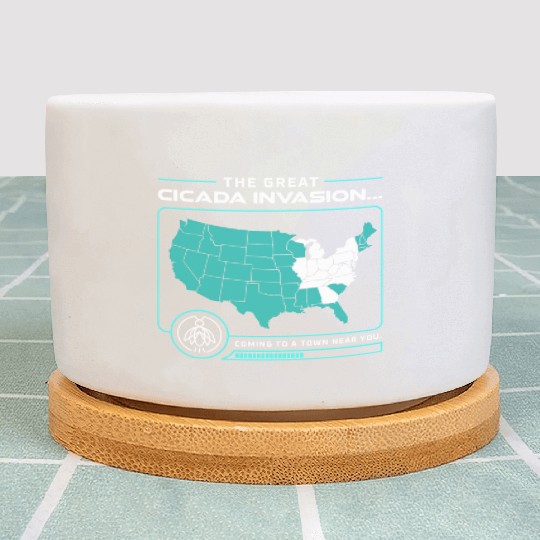 Cicada Invasion Coming To These States In Us Map Plant Pots