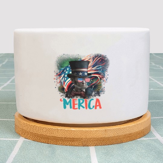 Merica Lincoln Independence Day Party 4th July Plant Pots