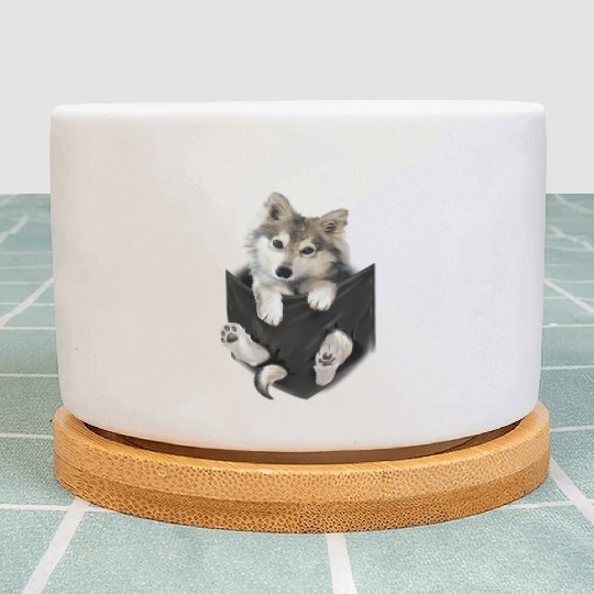 Wolf White Pup In Pocket Wolves Plant Pots