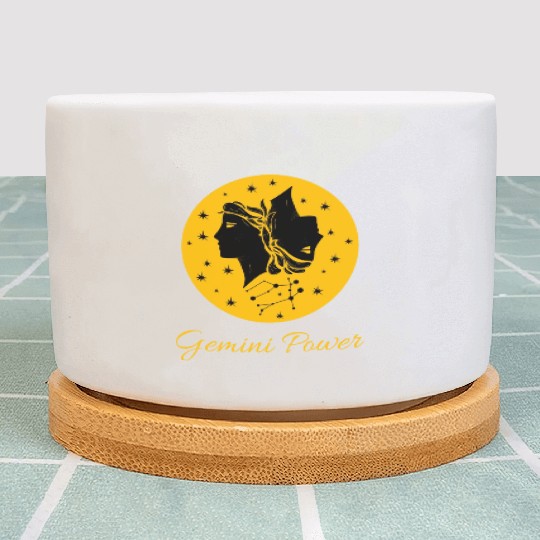 Gemini Power Zodiac Sign Plant Pots