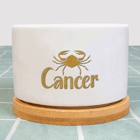 Cancer Zodiac Sign Plant Pots