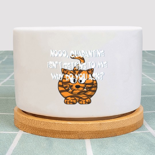 Crazy Cat Social Distancing Face Mask Funny Plant Pots