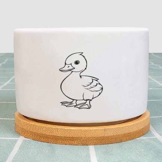 Duck Bird Nature Pond Plant Pots