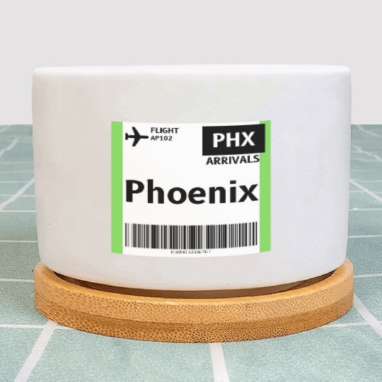 airplane ticket phoenix Plant Pots