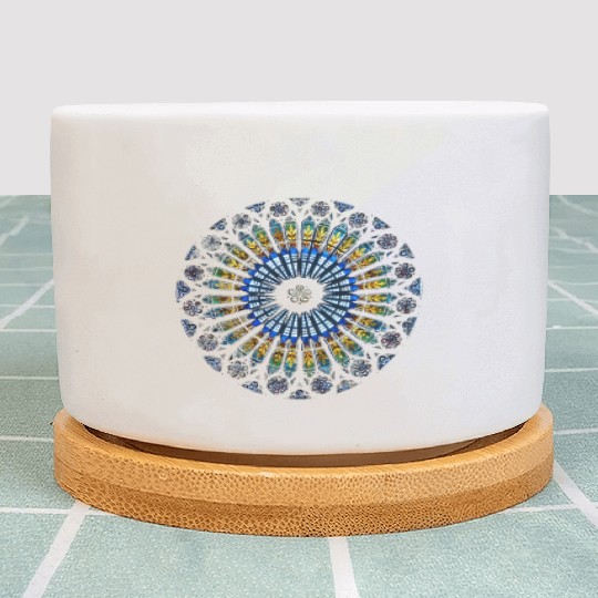 Strasbourg Cathedral France Dala Stained Glass Win Plant Pots