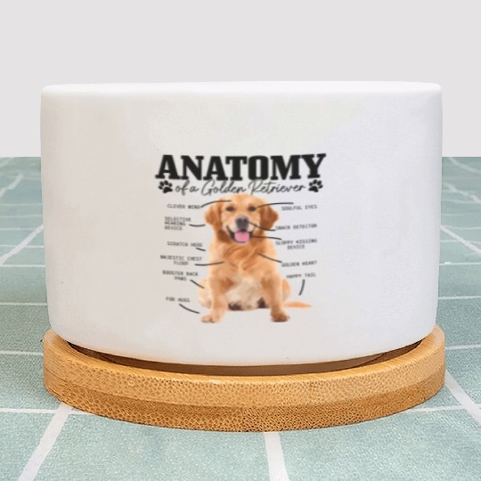 Anatomy Of A Golden Retriever Dog Mom Dad Plant Pots