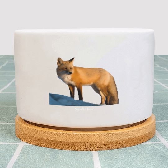 Sunlit Fox Wildlife Nature Plant Pots