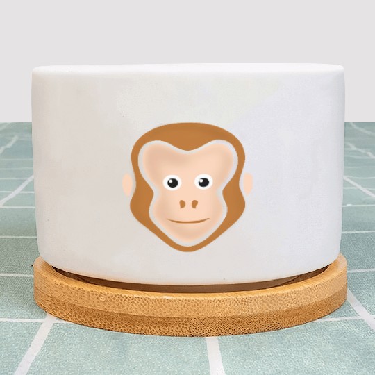 Monkey Face Adorable Plant Pots