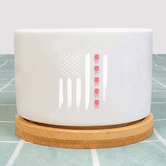 Cicada Line In Distressed Us Flag For Cicada Plant Pots
