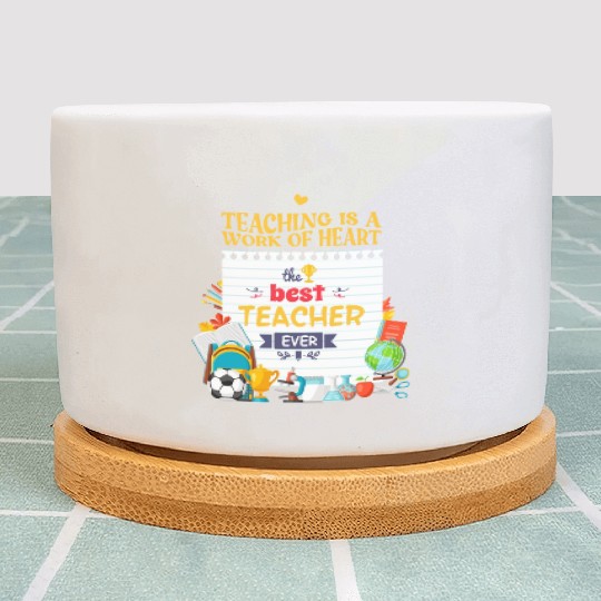 Best teacher ever Plant Pots