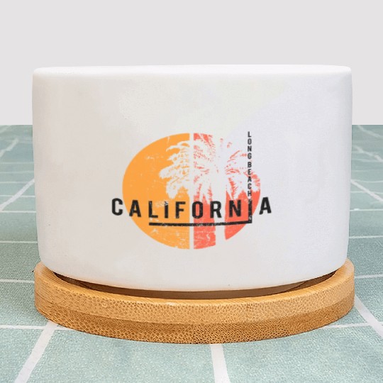 Long Beach California Cool Native Palm Tree Plant Pots