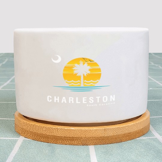 Charleston South Carolina Sc Palmetto Moon Sunset Plant Pots