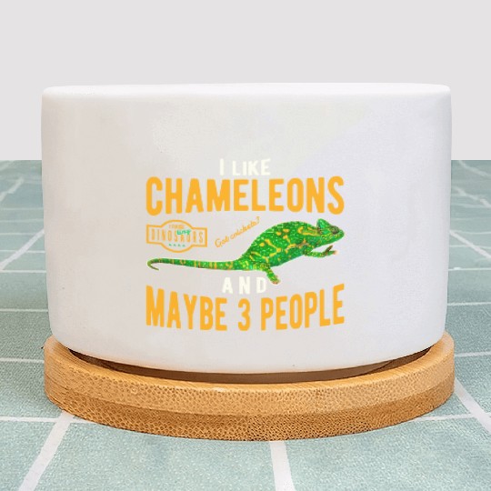Chameleon Lizard Plant Pots
