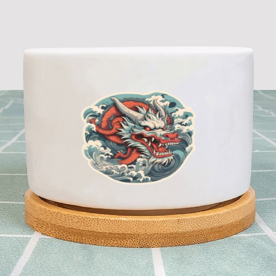 Japanese Dragon Plant Pots