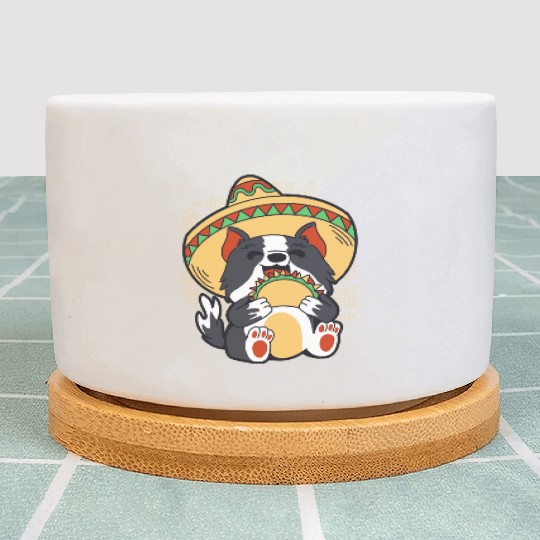 Cinco De Mayo Cat and Tacos Lover Funny Design Plant Pots