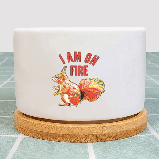 Squirrel I am on Fire Plant Pots