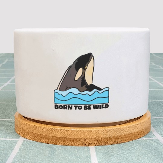 Born to Be Wild: Playful Orca Design Plant Pots