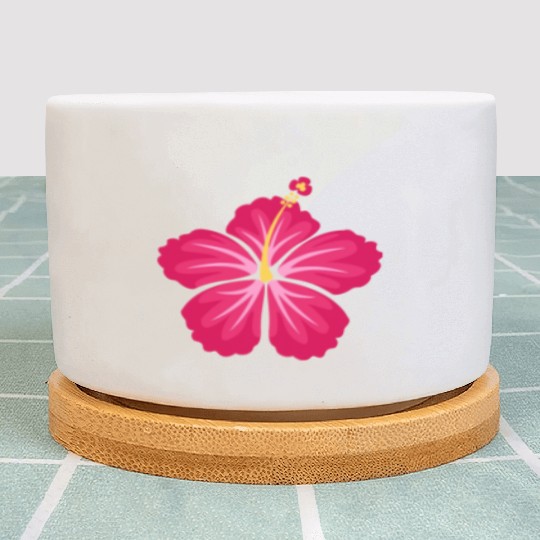 Pink Hibiscus Flower Plant Pots