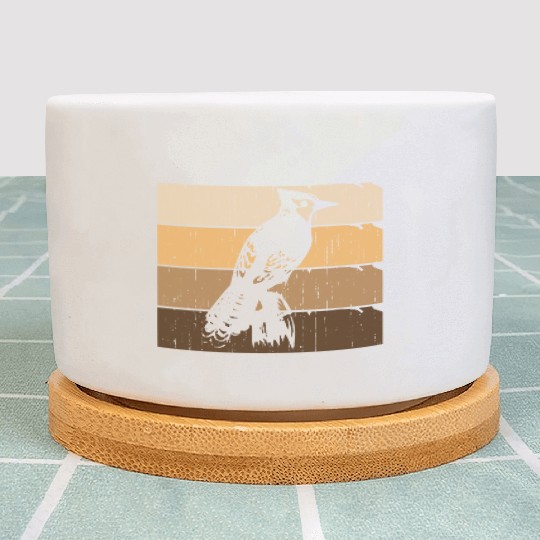 Bird Woodpecker Art Budgie Hummingbird Parrot Plant Pots