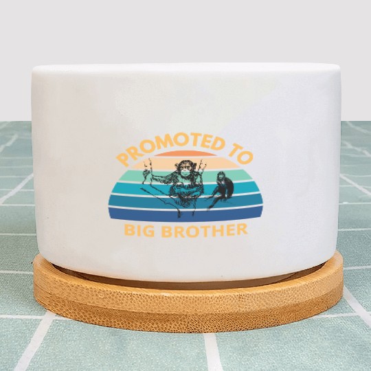 Promoted To Big Brother Plant Pots
