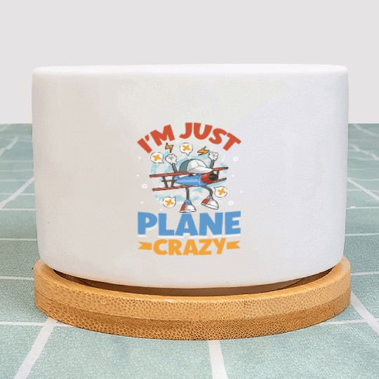 Pilot Aviation Airplane Airline Future Pilots Plant Pots
