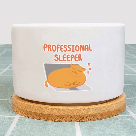Professional Sleeper Lazy orange cat Plant Pots