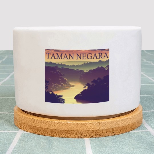 Malaysia Taman Negara National Park Sunset Warm Plant Pots