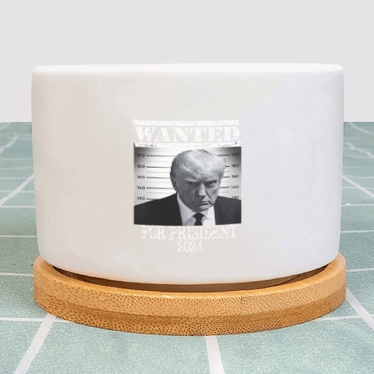 Wear this "President 2024 Trump Mug Shot Plant Pots