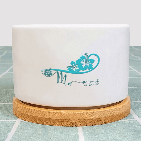 Maui No Oi: Hibiscus Plant Pots