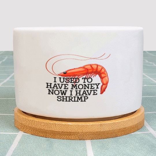 I Used To Have Money Now I Have Shrimp Plant Pots