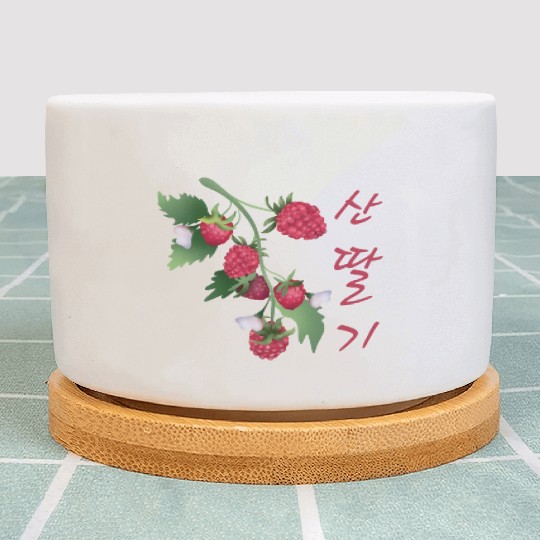 Korean Raspberry Plant Pots