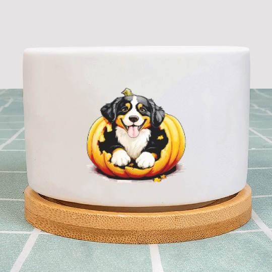 Halloween Bernese Mountain Dog Plant Pots