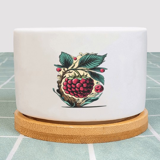 Raspberry Plant Pots